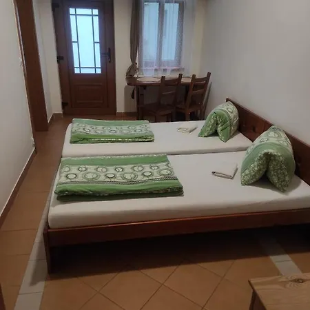 Penzion Dolni Dunajovice بيت ضيافة *