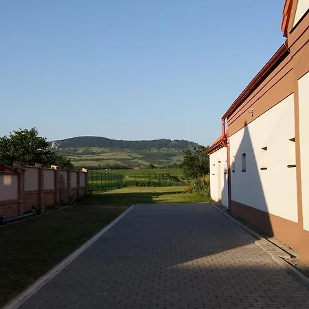 Penzion Dolni Dunajovice بيت ضيافة Dolní Dunajovice