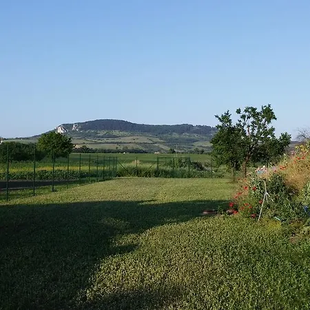 Penzion Dolni Dunajovice بيت ضيافة