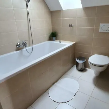 Penzion Dolni Dunajovice بيت ضيافة *