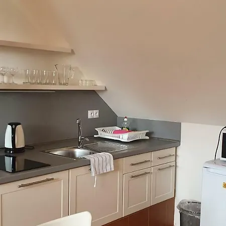Penzion Dolni Dunajovice بيت ضيافة *